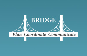 bridge logo